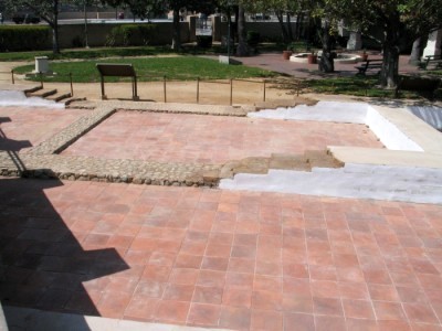 24" Extension SH 2000 Replacement Part