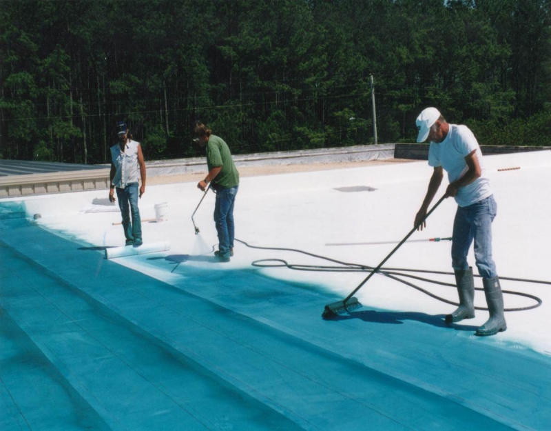 RoofCoat Pro Unibase Primer -      