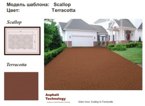  :  Scallop   Terracotta